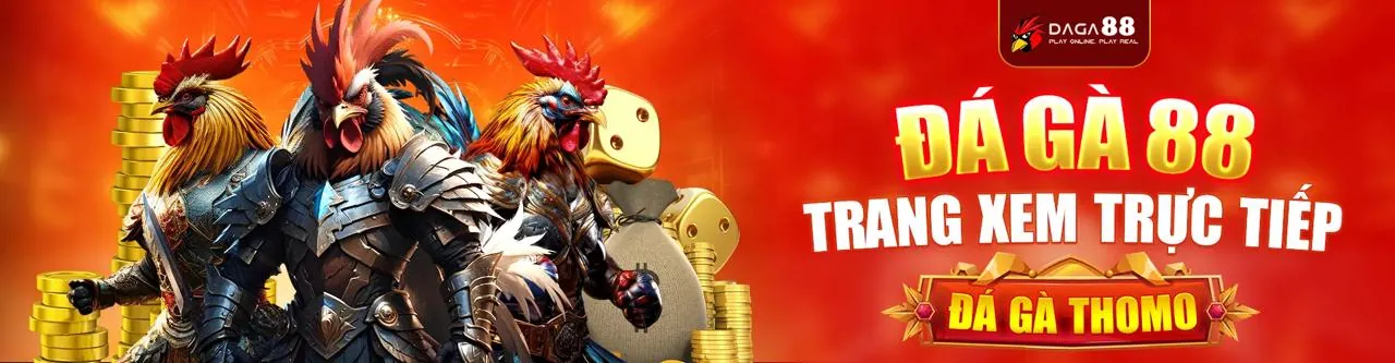 Đá Gà Trực Tuyến thomo678 - Nơi Đam Mê Hội Tụ
